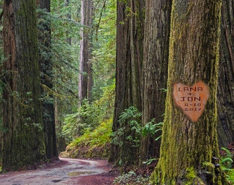 Tree Carved Heart Names Personalized Wedding Gift Redwood Forest Customized Photo Anniversary Valentines Day Romantic pp51