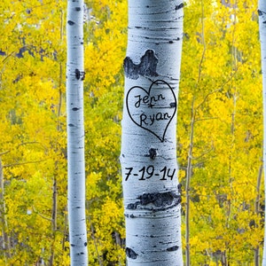 Personalized Wedding Gift Aspen Autumn Carved Heart Tree Customized Names Photo Anniversary Valentines Day Invitation pp6