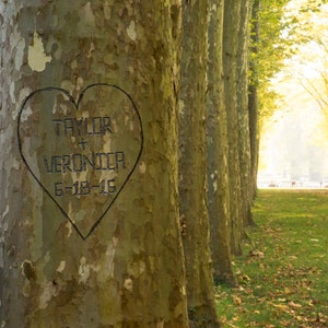 Personalized Wedding Gift Tree Trunk Carved Heart  Names Customized Photo Anniversary Valentines Day pp143
