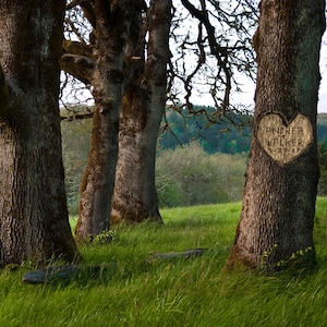 Carved Heart on Tree Personalized Wedding Gift Unique Romantic Anniversary Gift Customized Names Photo Outdoors pp167