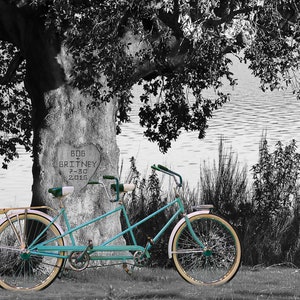 Personalisierte Hochzeitsgeschenk Namen geschnitzt in Baum Foto Jahrestag Valentinstag Tandem Fahrrad Fahrrad pp210