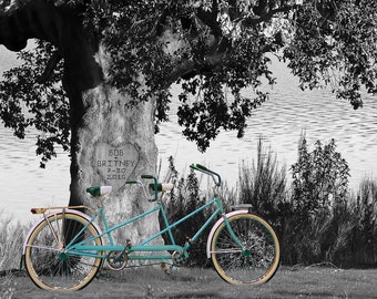 Personalized Wedding Gift Names Carved in Tree Photo Anniversary Valentines Day Tandem Bike Bicycle pp210