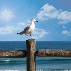Personalized Wedding Gift - Romantic Beach Decor - Seagull - Carved Heart Ocean Anniversary Gift Customized pp134