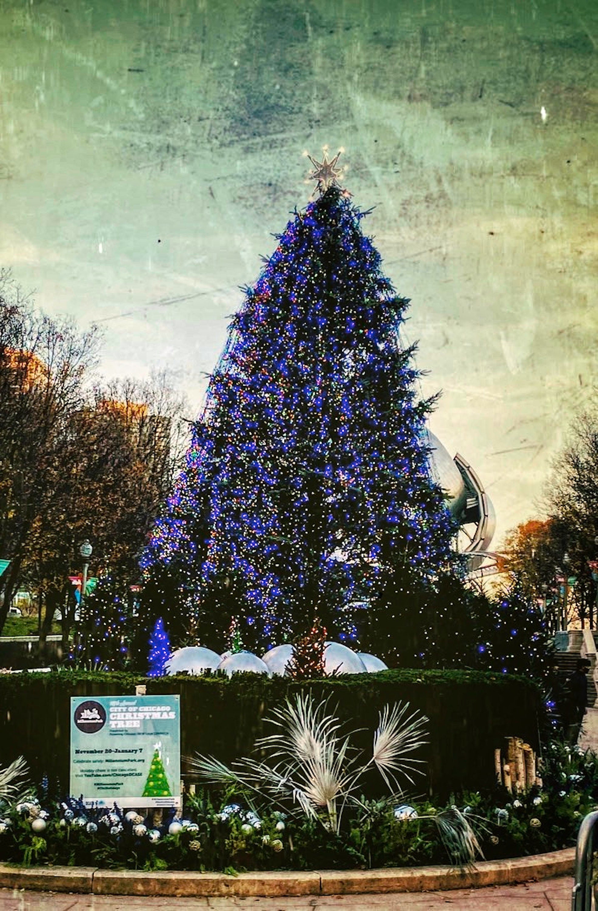 Feliz Navidad Árbol de Navidad Oficial de Chicago 2020 Arte Etsy España