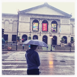 Art Institute Chicago