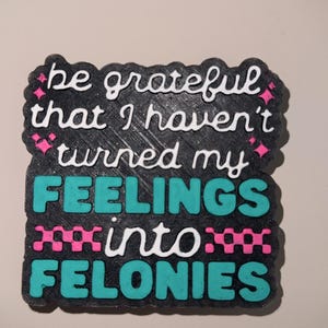Feelings Into Felonies Car Freshie: Adult Humor Rear View Mirror Decor