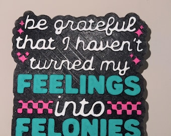 Feelings Into Felonies Car Freshie: Adult Humor Rear View Mirror Decor