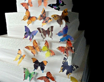 24 RARE Assorted Decorative Wafer Paper Butterflies© 1.75" Size Pre Cut Decorations Toppers Cupcakes Cookies Wedding Dessert Butterfly