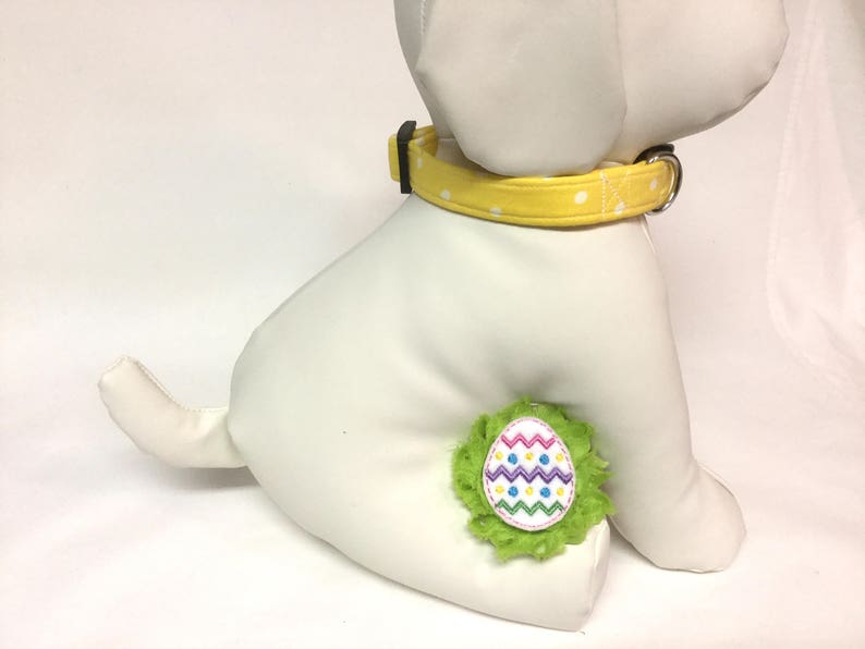 Dog collar Easter dog collar Easter egg dog collar spring Etsy