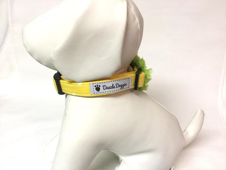 Dog collar Easter dog collar Easter egg dog collar spring Etsy