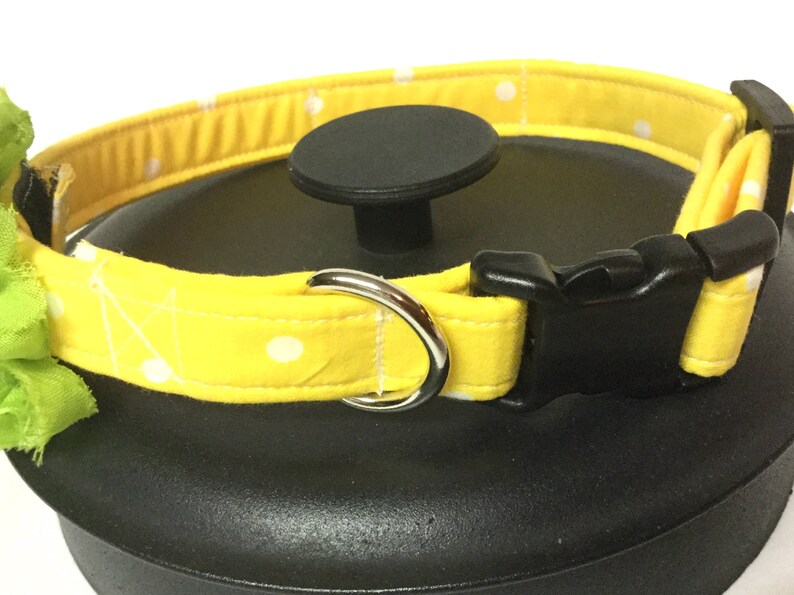 Dog collar Easter dog collar Easter egg dog collar spring Etsy