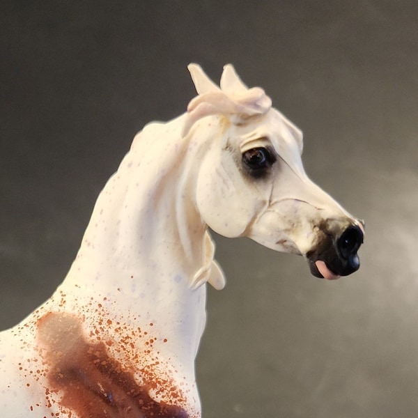 Beautiful  Arabian Mare - Bloody Shoulder * Horraw Studios 1:18 Scale Model Horse Similar to Breyer