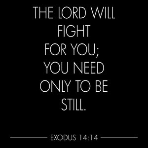 The Lord will fight for you; you need only to be still. Exodus 14:14   Digital Print