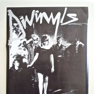 DIVINYLS * Promo Poster * In Concert * Vintage * Original * 17x23 * 1982 * Collectible
