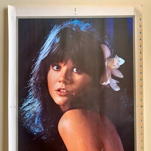 Linda RONSTADT * Promo Poster * Simple Dreams * Star City Inc. * Pre-Trim * Vintage * Original * 1977 * 25&quot;x38&quot; * Collectible