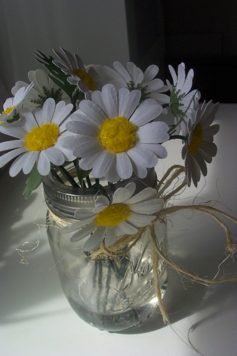 10 Stemmed Daisies in a Mason Jar Etsy