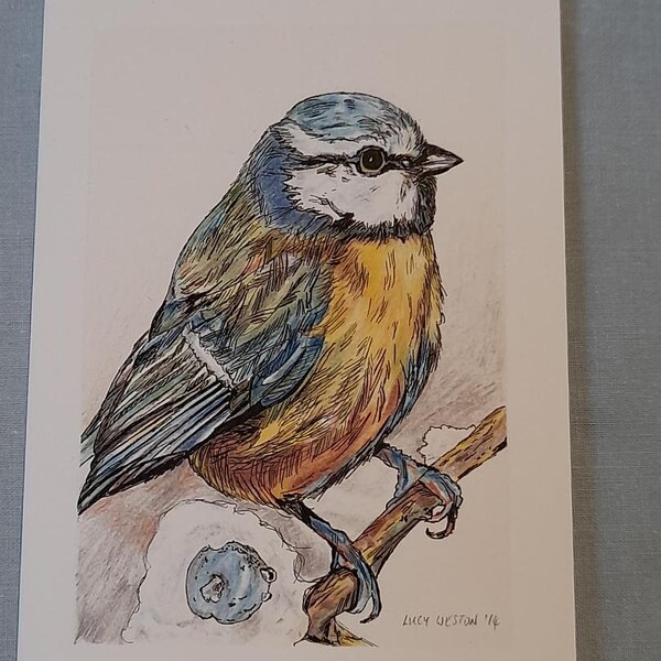 Bluetit greetings card