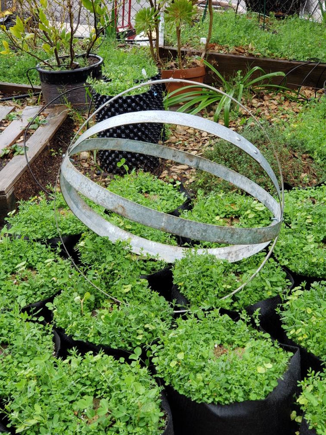 Vintage Wine Barrel Hoop Sphere, Handmade Garden Art, Rustic Garden