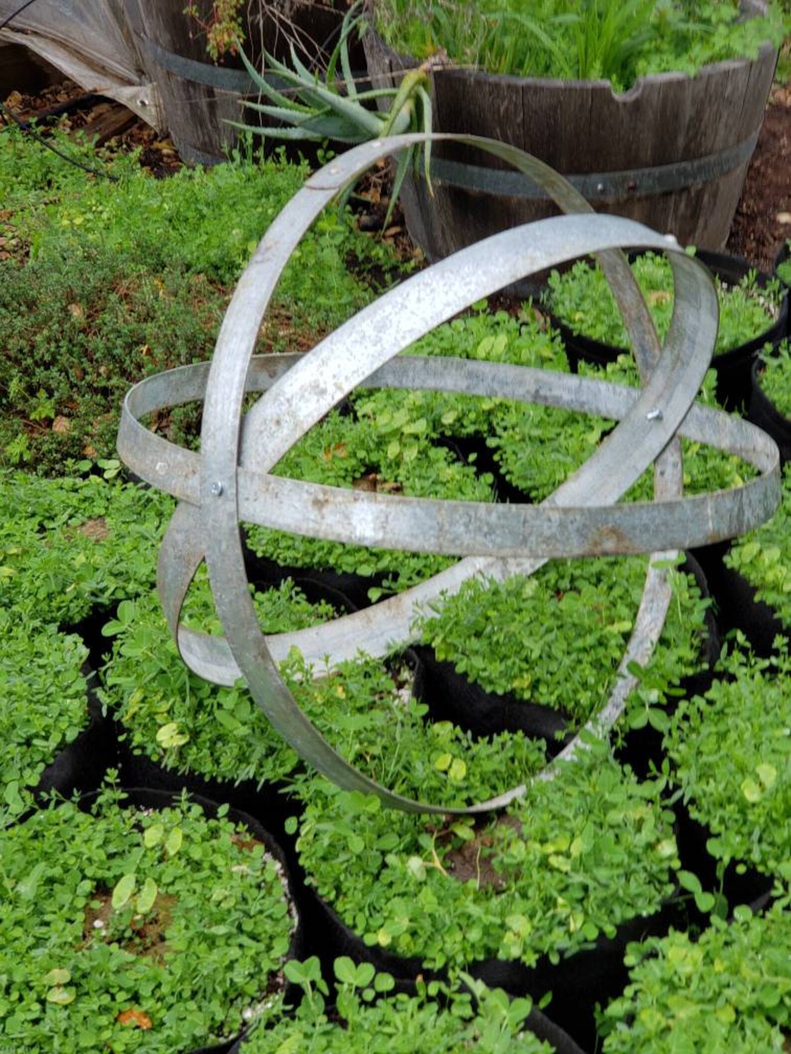 Vintage Wine Barrel Hoop Sphere, Handmade Garden Art, Rustic Garden