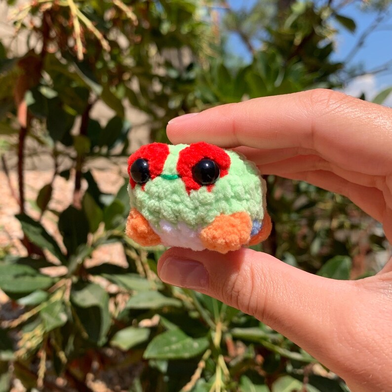 Pu&ograve; includere: Una rana all'uncinetto fatta a mano con corpo verde, segni rossi e zampe arancioni. La rana ha grandi occhi neri ed &egrave; tenuta in mano su uno sfondo di fogliame verde. Un regalo unico e artigianale.