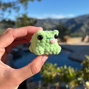 PACCHETTO di modelli di peluche a forma di rana all'uncinetto - Amigurumi senza cuciture (schemi PDF) immagine 11