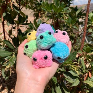 Pu&ograve; includere: Una collezione di peluche a forma di rana all'uncinetto dai colori pastello, tra cui rosa, blu, verde, giallo e viola. Ogni rana ha occhi neri a bottone e un aspetto strutturato e sfocato. Le rane sono tenute in una mano su uno sfondo di fogliame verde.
