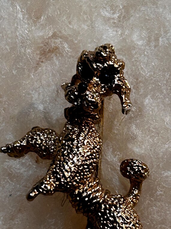 Panetta brooch - Gem