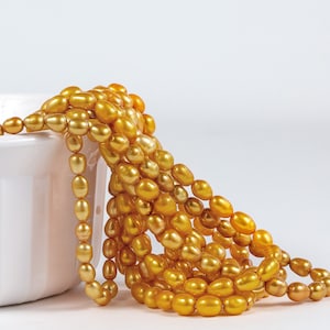 May include: A strand of golden yellow oval-shaped pearls spilling out of a white ceramic bowl. The pearls are smooth and lustrous.