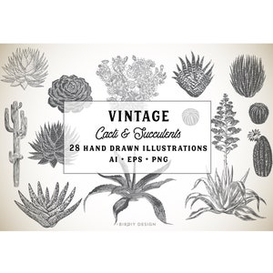 Succulent Clipart Cactus Clip Art Desert Clipart Vintage Botanical Clipart Greenery Clipart Instant Download Commercial Use image 1