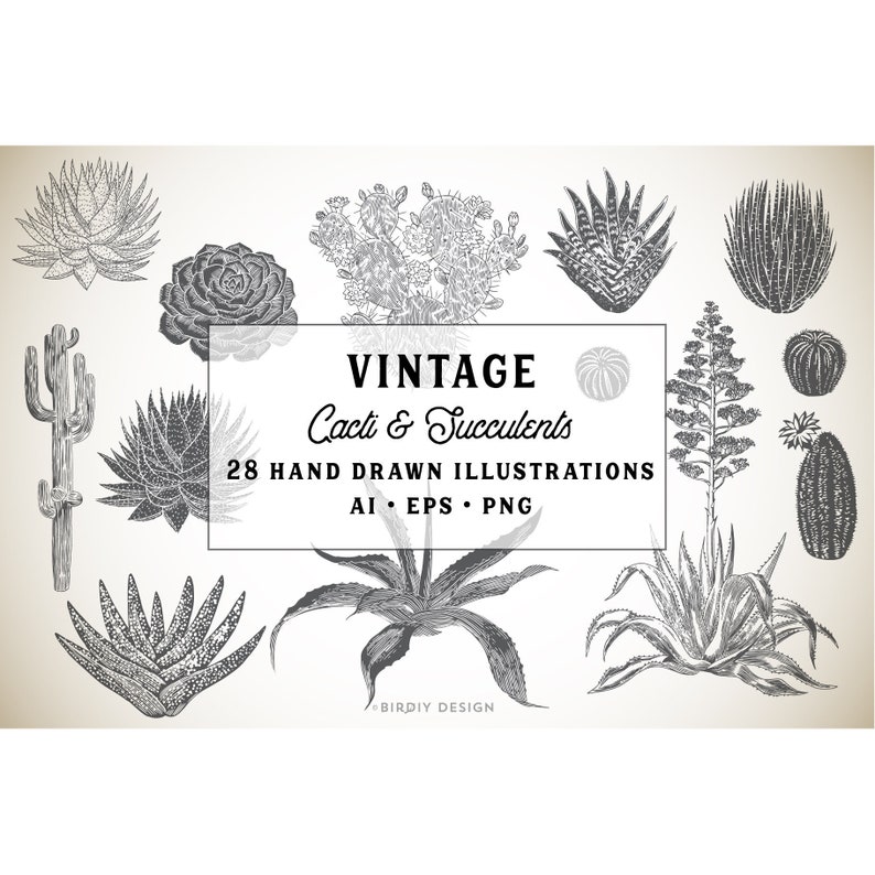 Succulent Clipart Cactus Clip Art Desert Clipart Vintage Botanical Clipart Greenery Clipart Instant Download Commercial Use image 1