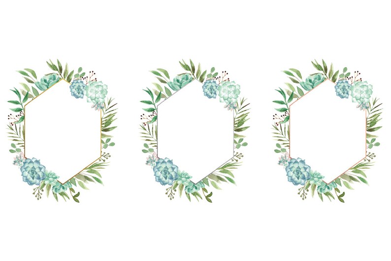 May include: Three watercolor illustrations of hexagonal frames with green leaves and blue succulents. The frames are gold.