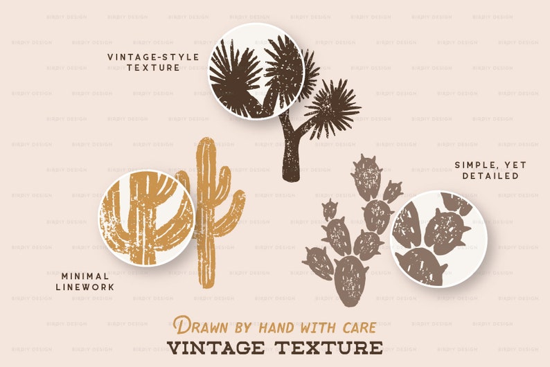 May include: Four illustrations of desert plants, including a cactus, a prickly pear cactus, and two Joshua trees. The illustrations are drawn in a vintage style with a textured look. The text "VINTAGE-STYLE TEXTURE" is at the top of the image. The text "DRAWN BY HAND WITH CARE" and "VINTAGE TEXTURE" are at the bottom of the image.