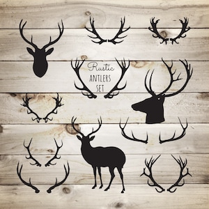 Rustikale Clipart Hirschgeweih - Waldgeweih - Rentier Geweih - Rustikale Clipart - Rustikale Boho Clipart - Sofortiger Download - JPG PNG EPS Ai