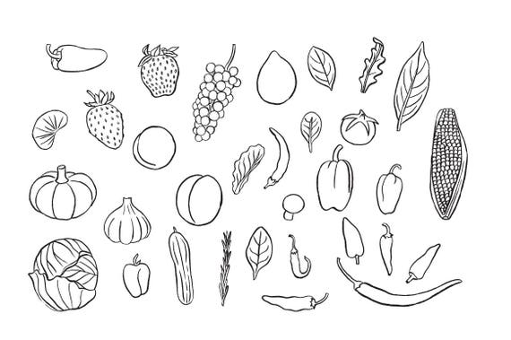 Chalkboard Clipart - Food Clipart - Farm Clipart - Fruit Clipart