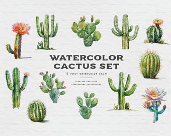 Watercolor Cactus Clipart Set - Watercolor Floral Clipart - Watercolor Floral - Greenery Clip Art - Desert Clipart - Succulent - Watercolour