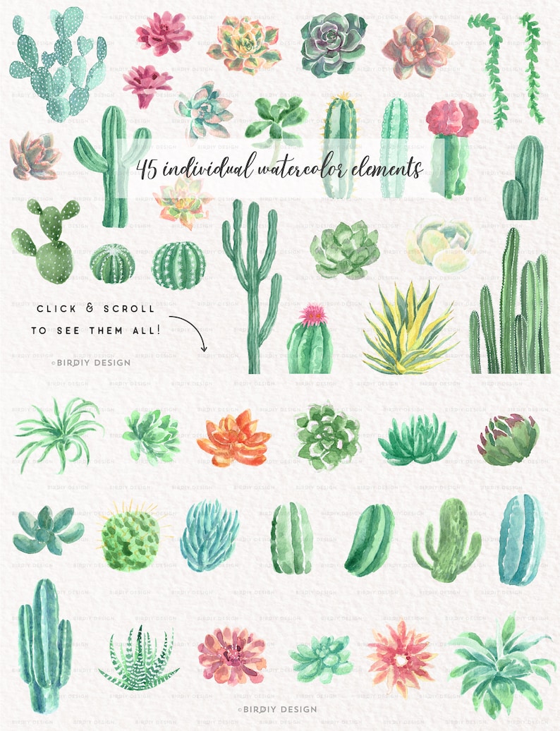 Desert Wedding Watercolour Southwest Wedding Watercolor Wreath Watercolor Flowers Greenery Clipart Watercolor Cactus Clip Art