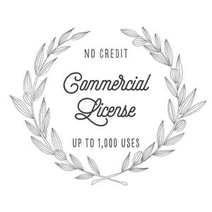 Clipart Commercial License - Extended License - Commercial License - Commercial License No Credit - Clipart - Instant Download