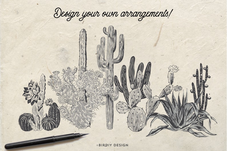 Succulent Clipart Cactus Clip Art Desert Clipart Vintage Botanical Clipart Greenery Clipart Instant Download Commercial Use image 3