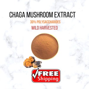 CHAGA MUSHROOM(Inonotus Obliquus) Powder/Extract, 100% Wild Harvested