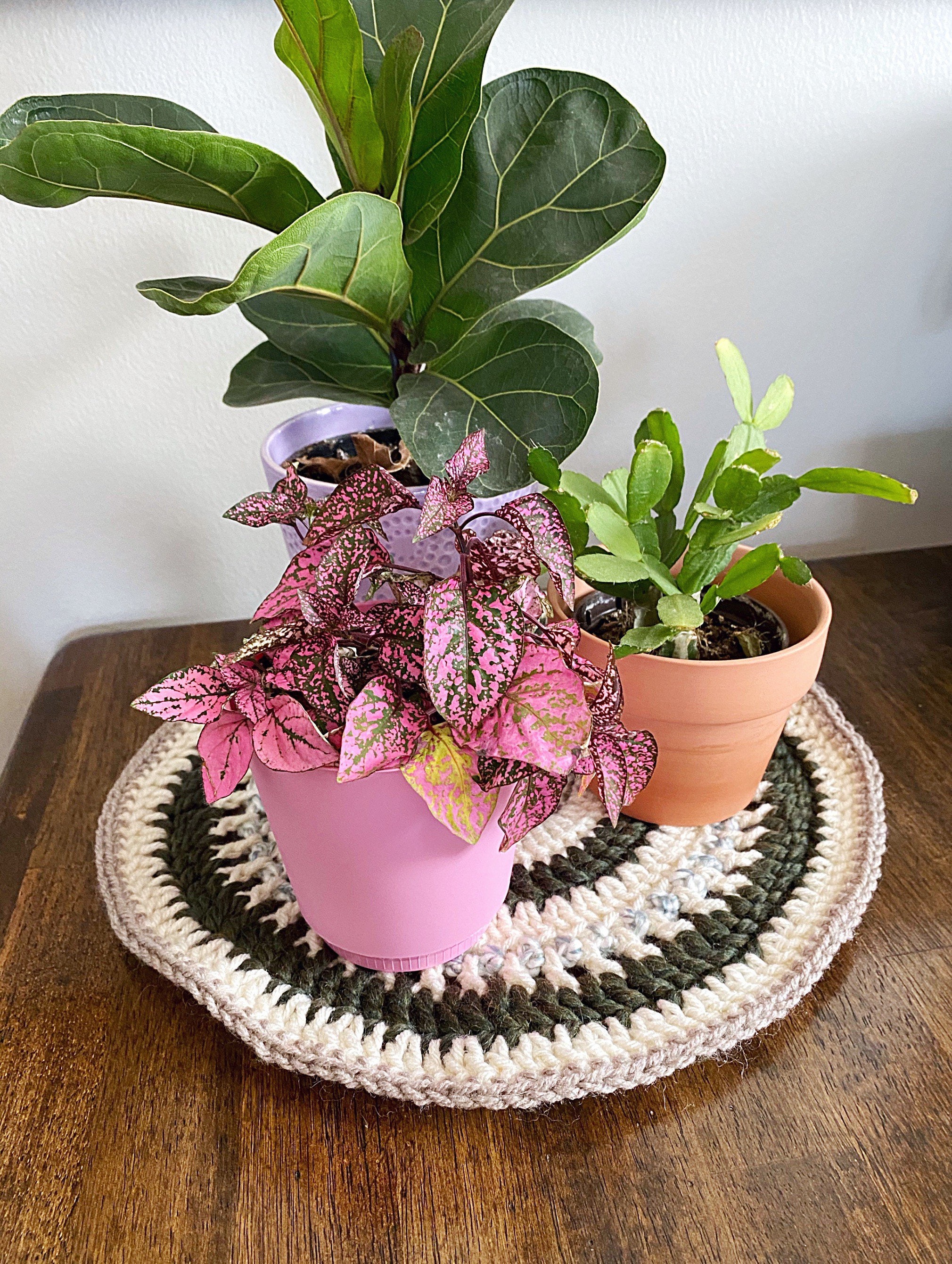 Crochet Plant Mat: Repurposed Yarn Plant Coaster, 13"