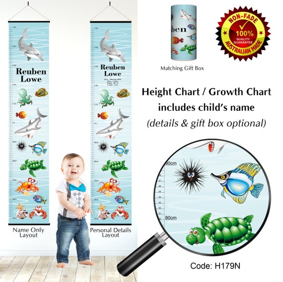 dolphin imaging ruler dolphin imaging ruler