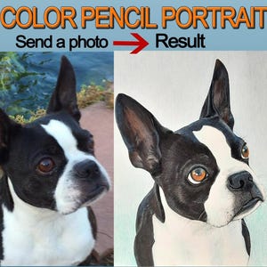 Custom Pet Portrait Colored Pencil and Marker Drawing, 9"x12" Custom Commission, Dog, Cat, or Family, Birthday Gift, Pet Loss Gift