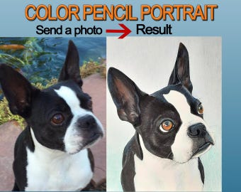 Custom Pet Portrait Colored Pencil and Marker Drawing, 9"x12" Custom Commission, Dog, Cat, or Family, Birthday Gift, Pet Loss Gift
