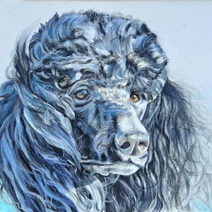 Pet Portrait Colored Pencil and Marker Custom Drawing, 9"x12" Dog Commission Cat, or Family, Sympathy Gift, Birthday Present