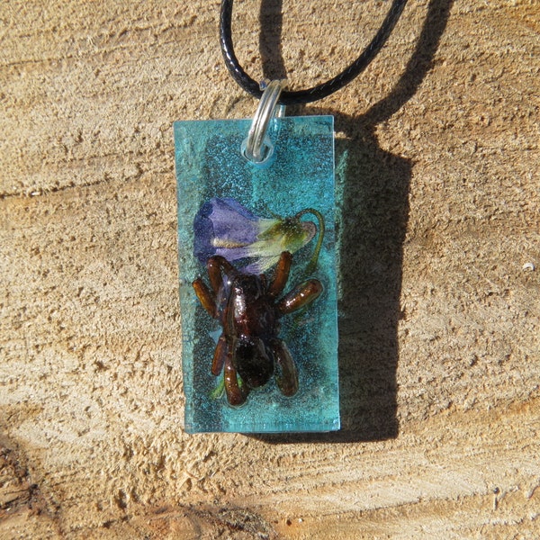 Real Wolf Spider in a Resin Necklace Charm