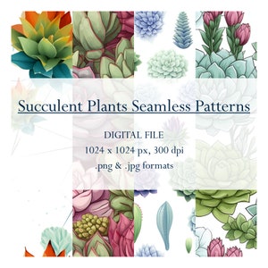 Succulent Plants Seamless Patterns