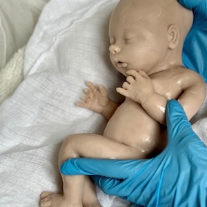 Puede incluir: Un mu&ntilde;eco de beb&eacute; realista hecho de silicona, acostado sobre una superficie de tela blanca. El mu&ntilde;eco lleva un guante azul en la pierna y otro guante azul sostiene el brazo del mu&ntilde;eco.