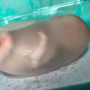 生き生きとした超リアルなリアルライフ、生まれたばかりの子宮で濡れたマイクロ未熟児の女の子、ヤンカ全身シリコン製 OOAK マグダレーナのアートベビードール