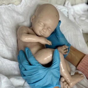 K&ouml;nnte beinhalten: Eine realistische, schlafende Babypuppe mit hellem Hautton wird von H&auml;nden mit blauen Handschuhen gehalten. Die Puppe liegt auf einem wei&szlig;en Tuch. Die Augen des Babys sind geschlossen, und seine Arme und Beine sind sanft gekr&uuml;mmt.