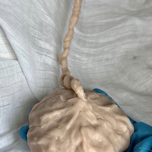 Escultura de parto de silicona de gran tamaño: Placenta con cordón umbilical, de Magdalena Binczewska, sin pintar.